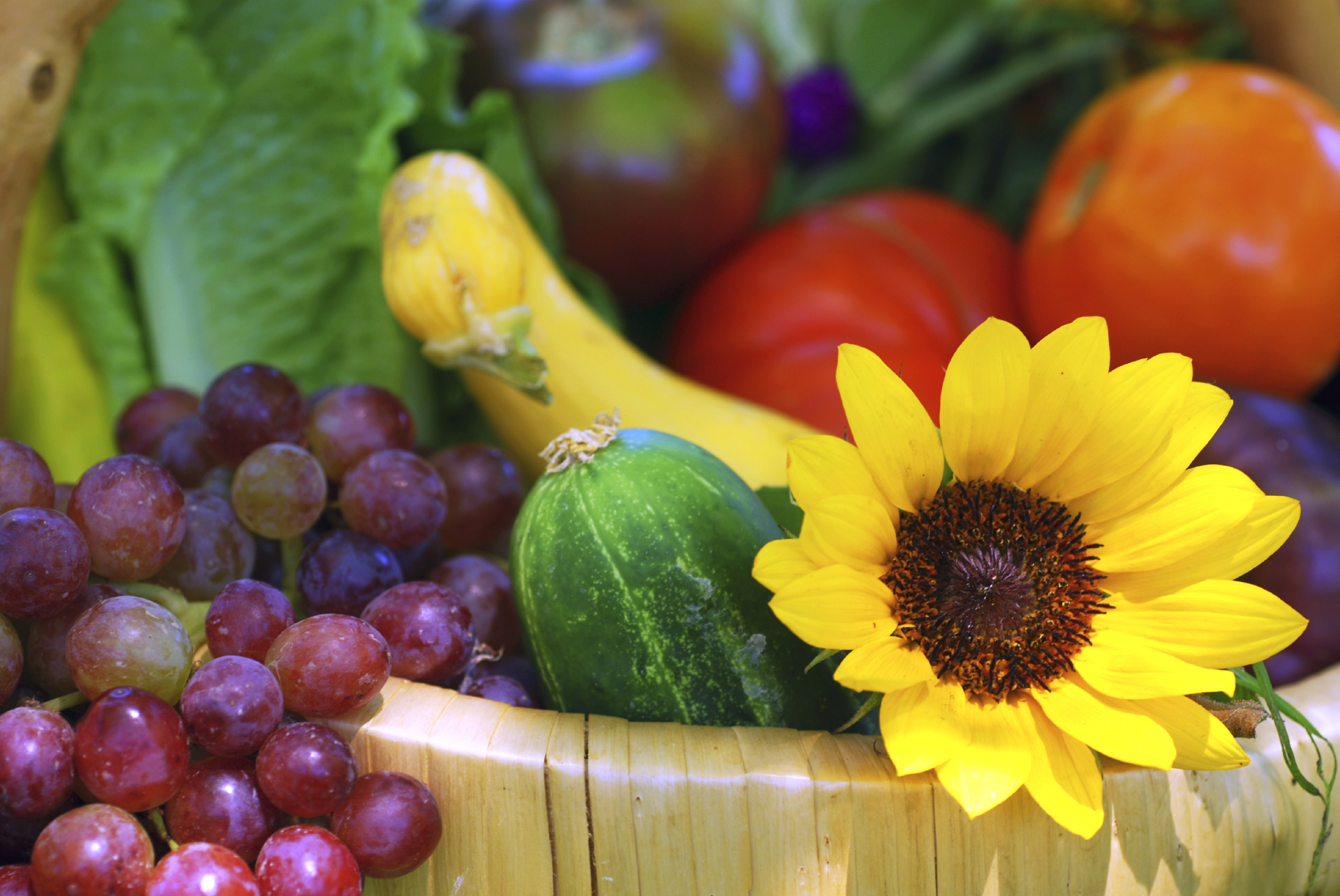 Garden Vegetables help to increase antioxidant levels at your Carson City dentist at Advanced Dentistry by Design
